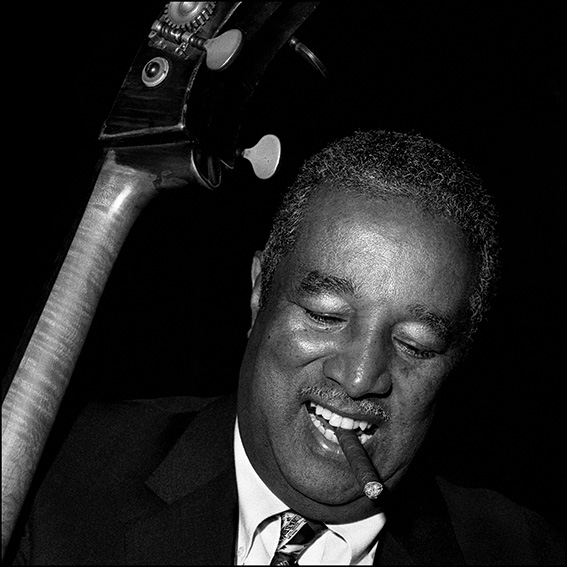 雷維史達-Ray Brown 雷維史達-Ray Brown 60x50cm
